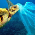 επιπτώσεις από την χρήση πλαστικής σακούλας