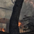 Έκτακτα μέτρα για τους πληγέντες από τις πυρκαγιές