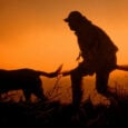 Ξεκινά το κυνήγι για το Κυνηγετικό έτος 2022-2023