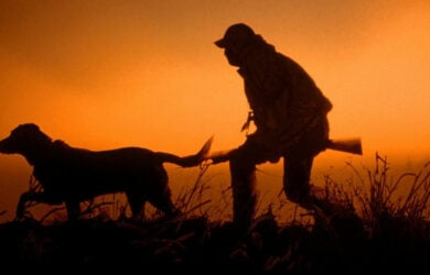 Ξεκινά 20 Αυγούστου 2021 το κυνήγι. Πόσο κοστίζει η άδεια κυνηγιού