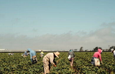 Αλλαγές στην μετάκληση πολιτών τρίτων χωρών για αγροτικές εργασίες