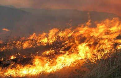 Μεγάλη φωτιά τώρα στα Βίλλια με μήνυμα 112 για εκκένωση