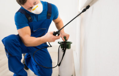 απολυμαντές