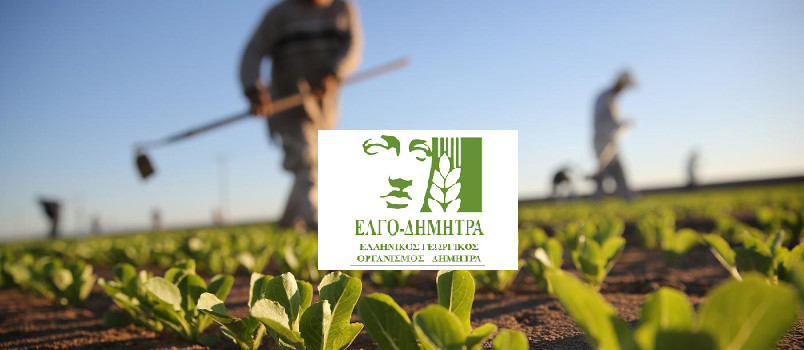 ΕΛΓΟ ΔΗΜΗΤΡΑ