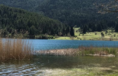 Διαχείριση Προστατευόμενων Περιοχών