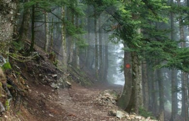 Διαχείριση Προστατευόμενων Περιοχών