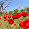 Πάσχα 2018. Πρόγνωση καιρού