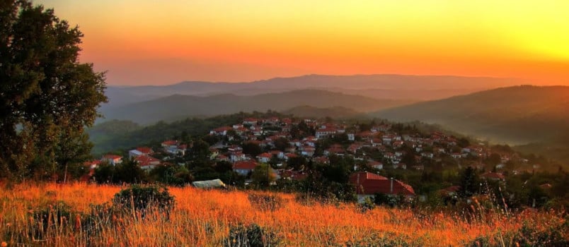 Βερτίσκος. Καταπράσινοι οικισμοί