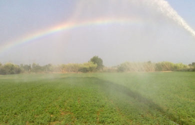 Πρόσληψη υδρονομέων άρδευσης