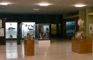Μουσείο Ζωολογίας του Πανεπιστημίου Αθηνών