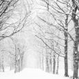 Κακοκαιρία Ζηνοβία με χιονοπτώσεις και πολύ χαμηλές θερμοκρασίες