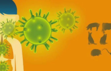 Τι είναι ο νέος κοροναϊός. Εκτίμηση κινδύνου για την Ελλάδα