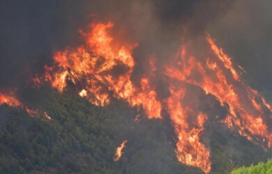 Νόμος 4824/2021. Κύρωση δύο Πράξεων Νομοθετικού Περιεχομένου (ΠΝΠ)