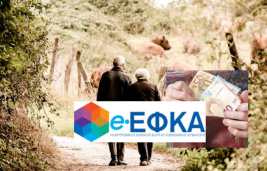 e-ΕΦΚΑ. Πως επιστρέφονται οι ασφαλιστικές εισφορές
