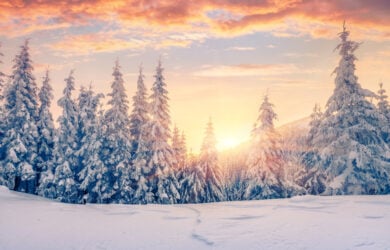 Χειμερινό ηλιοστάσιο 2021. Η μεγαλύτερη νύχτα του χρόνου