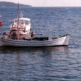 Απαγόρευση αλιείας στον λιμένα Θεσσαλονίκης