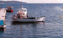Απαγόρευση αλιείας στον λιμένα Θεσσαλονίκης