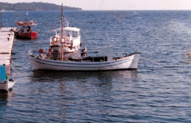 Απαγόρευση αλιείας στον λιμένα Θεσσαλονίκης