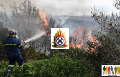 Φωτιά τώρα στην Ηλεία στην περιοχή Γούμερο