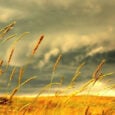 Ισχυροί άνεμοι και υψηλές θερμοκρασίες την Παρασκευή 21.6.2024