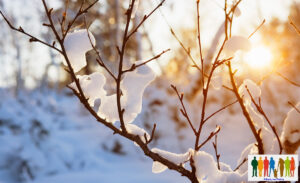 ώρες κοινής ησυχίας, για την χειμερινή περίοδο