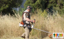 Καθαρισμός οικοπέδων: Υπόχρεοι, πρόστιμα, δηλώσεις, προθεσμία