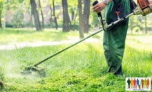 Καθαρισμός οικοπέδων: Υπόχρεοι, πρόστιμα, δηλώσεις, προθεσμία
