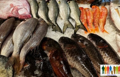 Γιατί τρώμε ψάρια